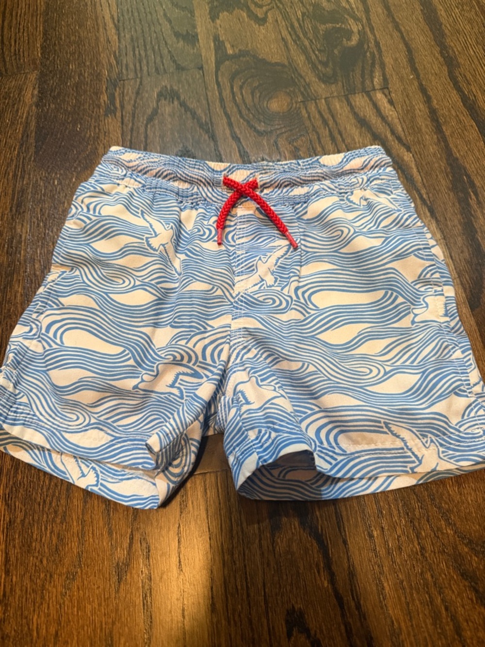 Blue & White Wave Print Swim Shorts with Red Drawstring